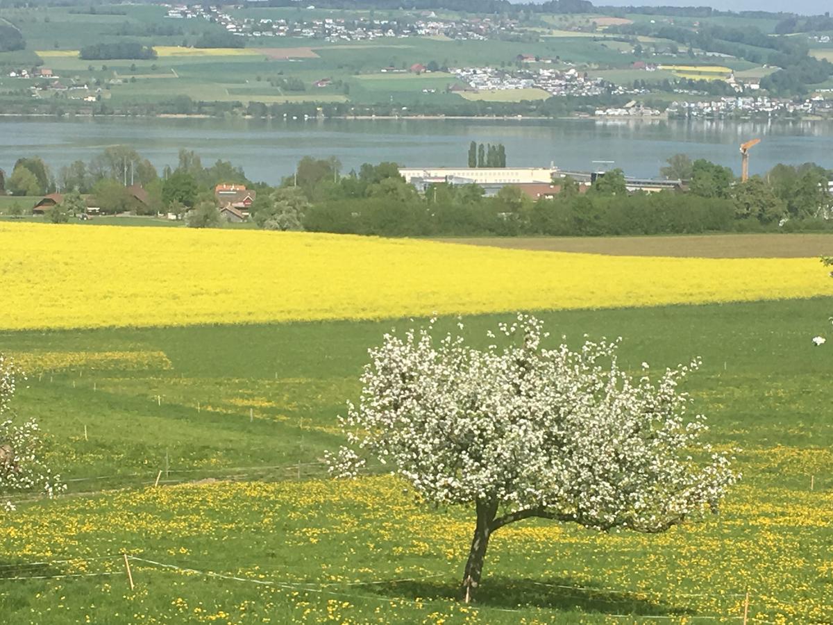 B&B Friedau Ноттвиль Экстерьер фото